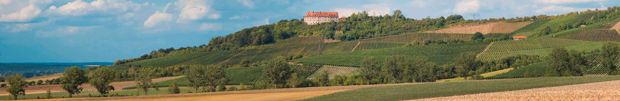 Weinlage Burg Hoheneck